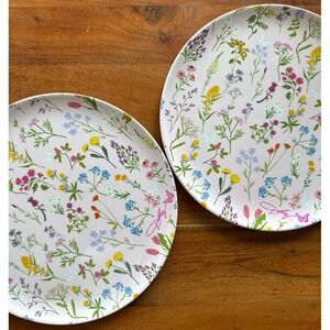 dolly parton plates